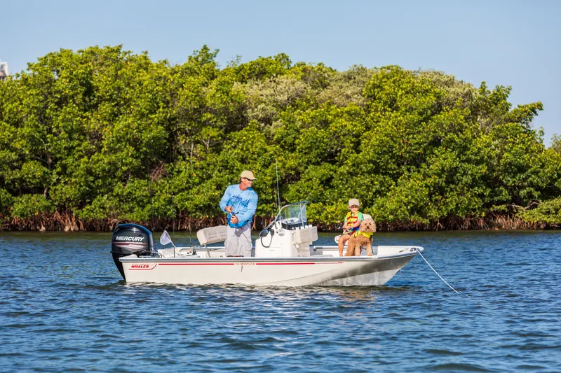 The Image of Boston Whaler 150 Montauk 2027 - 11