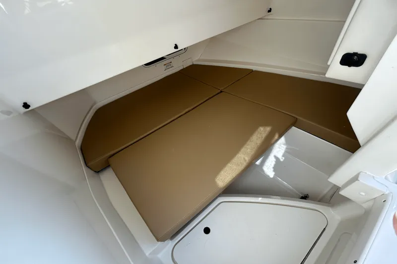 Slide: The Image of Sea Ray 250 SDX 2019 - 29