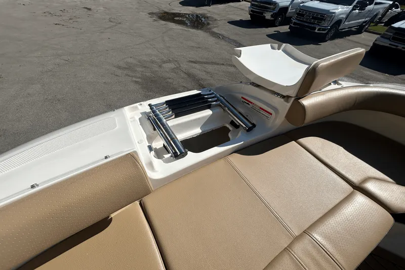 Slide: The Image of Sea Ray 250 SDX 2019 - 33