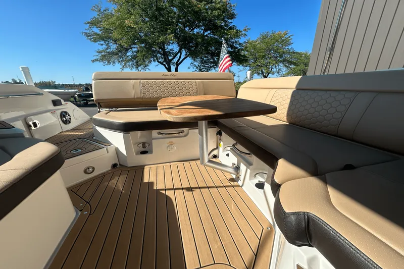 Slide: The Image of Sea Ray 250 SDX 2019 - 39