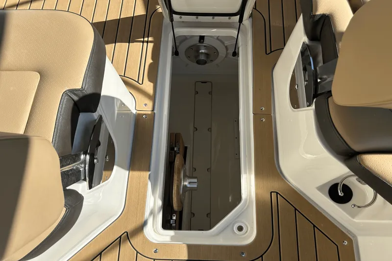 Slide: The Image of Sea Ray 250 SDX 2019 - 40