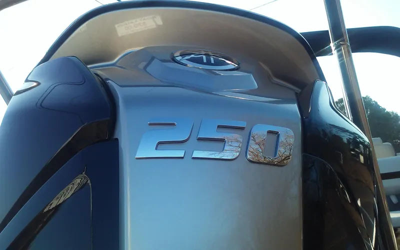 Slide: The Image of Close-up of 2023 SunCatcher Fusion 324 SS boat engine with "250" emblem. - 6