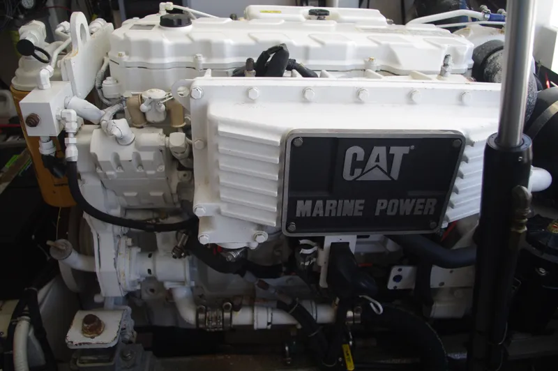 Slide: The Image of cat c9 - 23