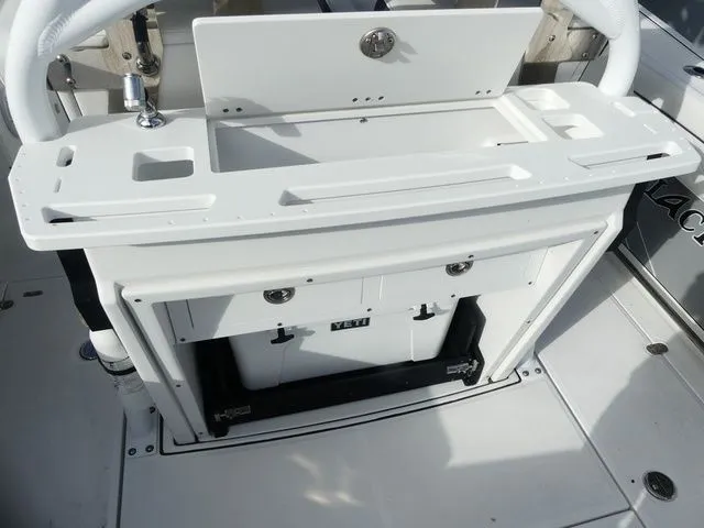 Slide: The Image of Blackfin 272 CC 2022 - 12