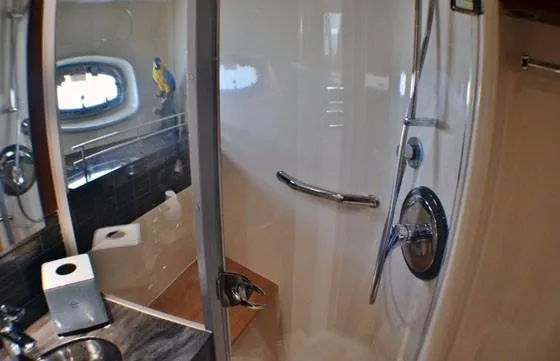 Slide: The Image of Bathroom interior of 2012 Sea Ray 540 Sundancer yacht with shower and porthole. - 35