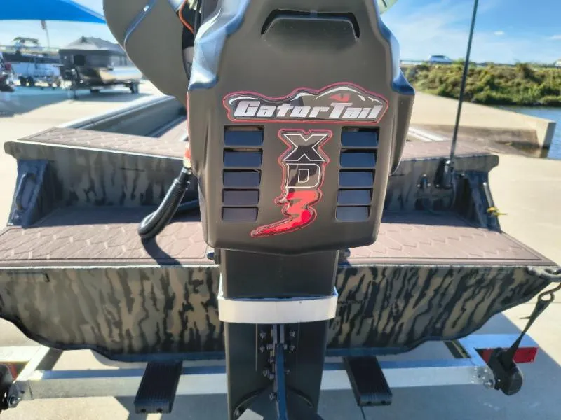 Slide: The Image of Gator-Tail 17/50 2027 - 17