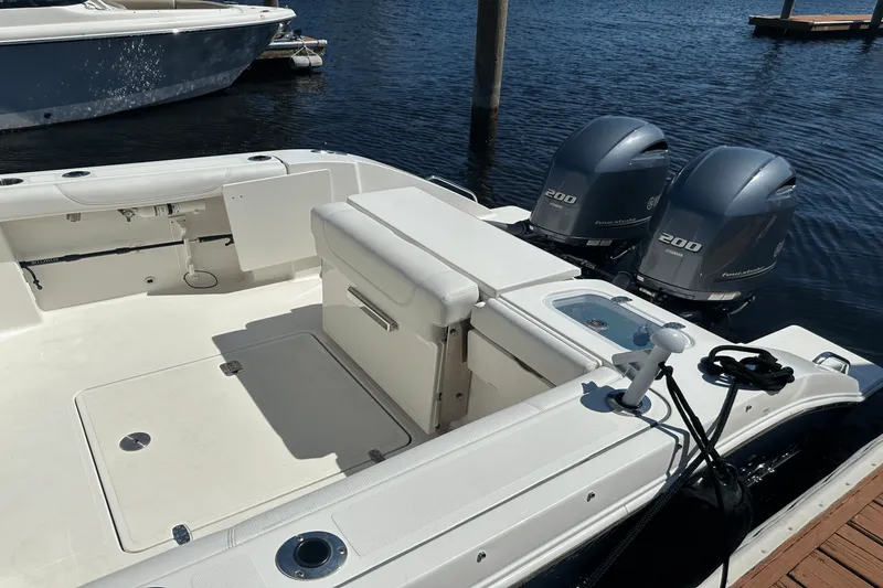 Slide: The Image of Pursuit DC 266 2021 - 10