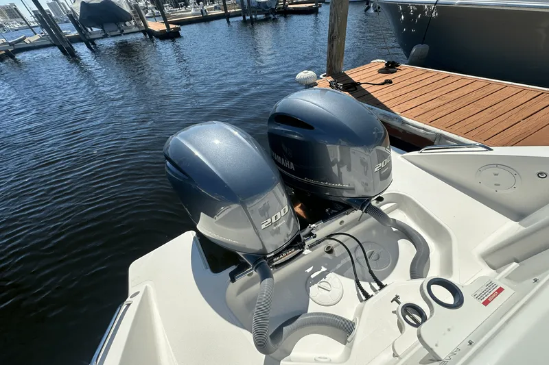 Slide: The Image of Pursuit DC 266 2021 - 15