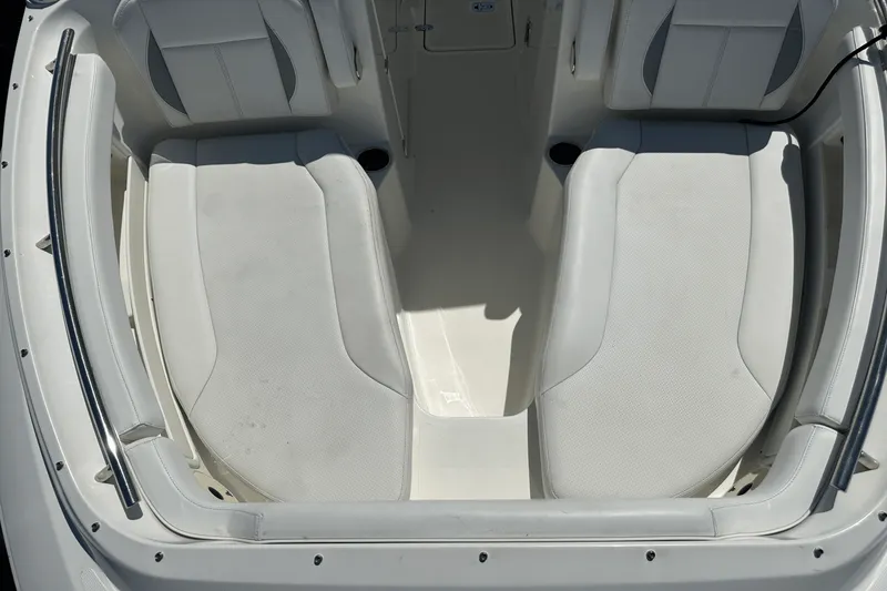 Slide: The Image of Pursuit DC 266 2021 - 16