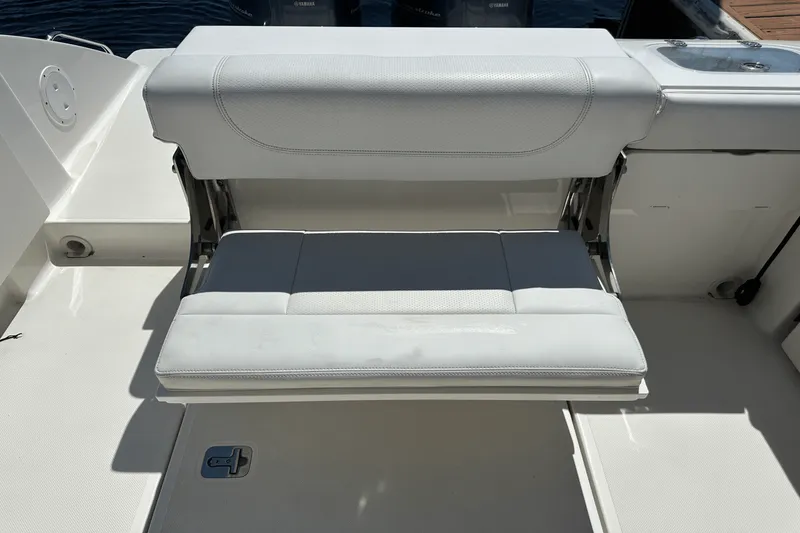 Slide: The Image of Pursuit DC 266 2021 - 21