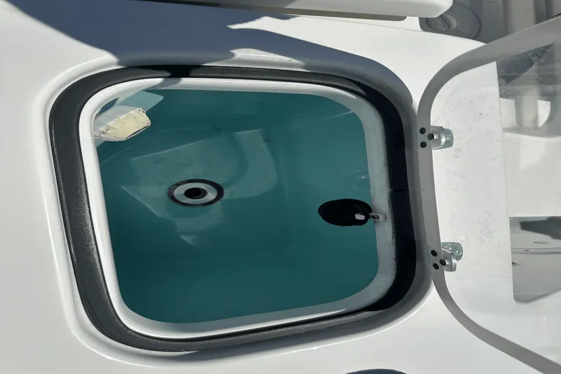 Slide: The Image of Pursuit DC 266 2021 - 26