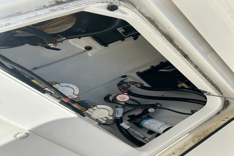 Slide: The Image of Pursuit DC 266 2021 - 28