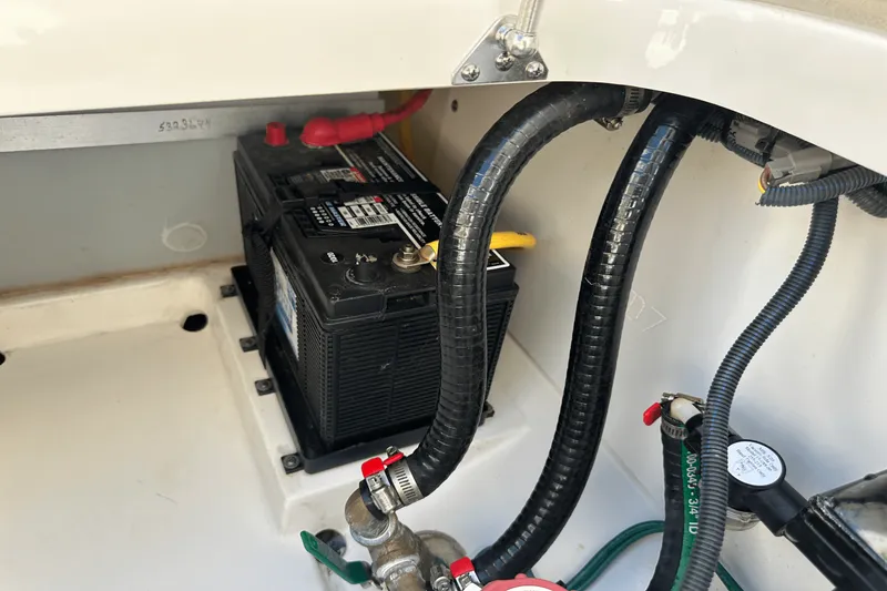 Slide: The Image of Pursuit DC 266 2021 - 29