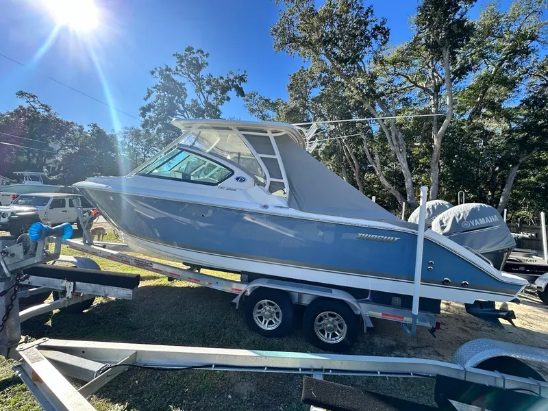 Slide: The Image of Pursuit DC 266 2021 - 34