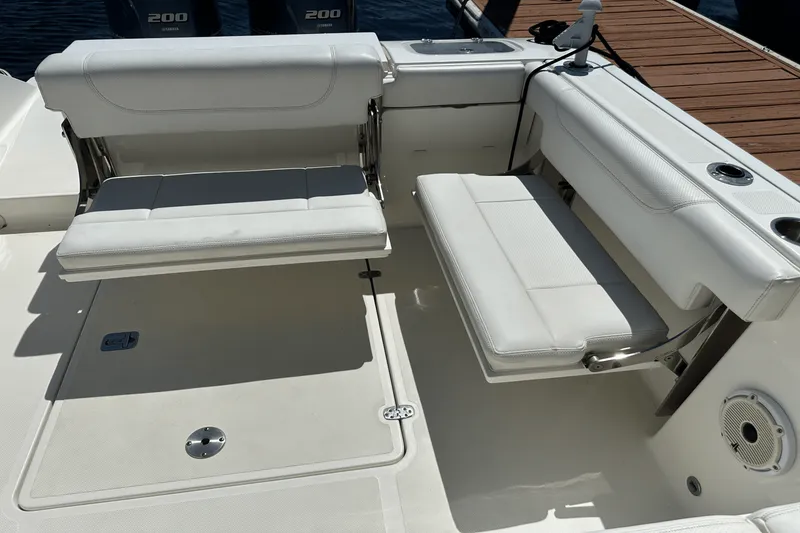 Slide: The Image of Pursuit DC 266 2021 - 9