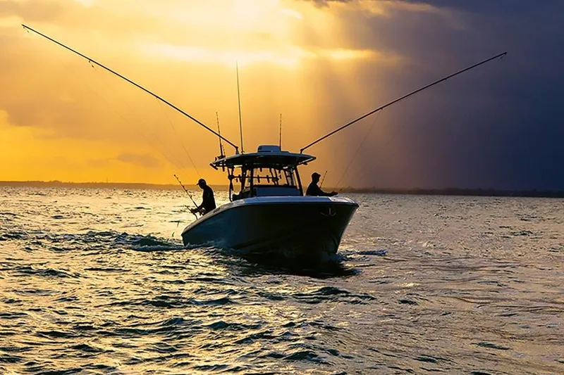 Slide: The Image of Manufacturer Provided Image: Manufacturer Provided Image - 3