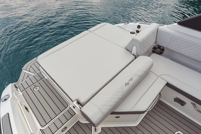 Slide: The Image of Sea Ray SDX 250 2026 - 77