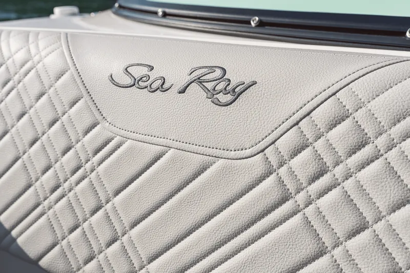 Slide: The Image of Sea Ray SDX 250 2026 - 30
