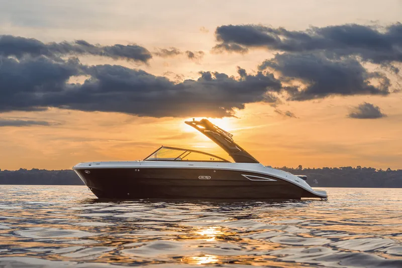 Slide: The Image of Sea Ray SDX 250 2026 - 64