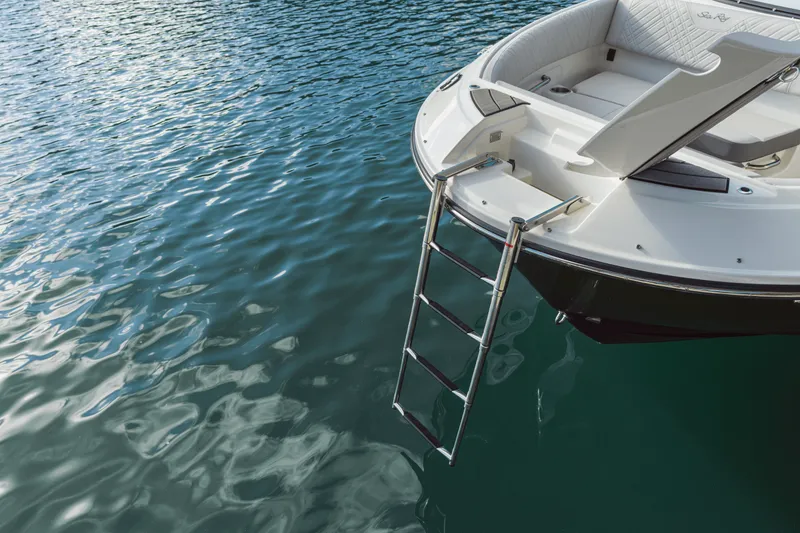 Slide: The Image of Sea Ray SDX 250 2026 - 24