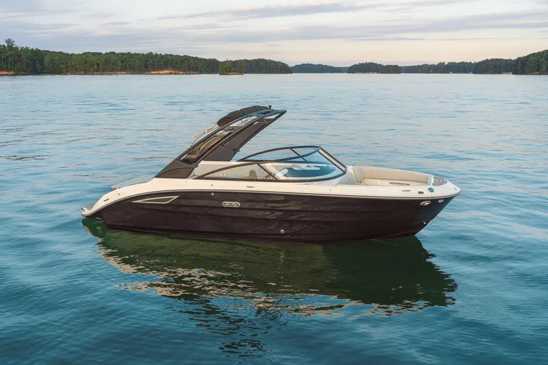 Slide: The Image of Sea Ray SDX 250 2026 - 71