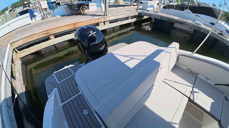 Slide: The Image of Sea Ray SPX 210 Outboard 2027 - 10