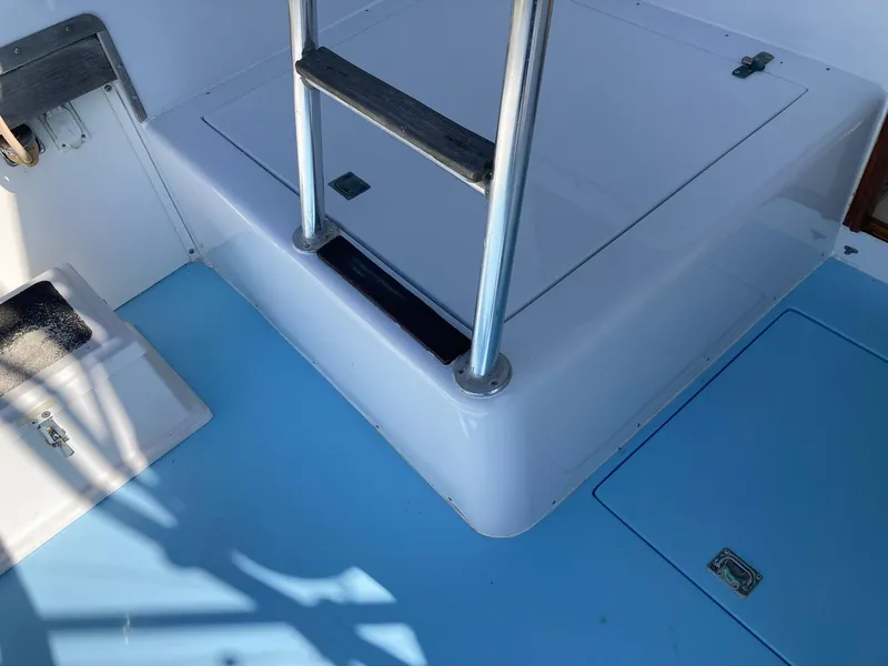 Slide: The Image of Boat deck with ladder, featuring blue and white surfaces, 1975 Custom 36 Matlack Tournament SF. - 19