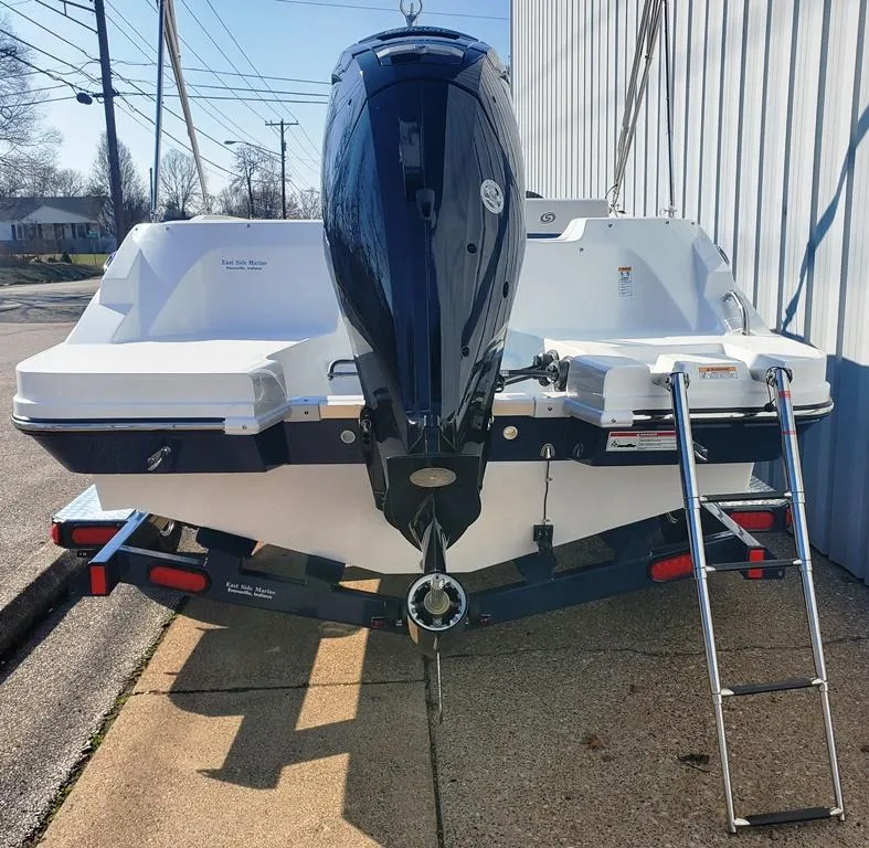 Slide: The Image of 4 step telescoping SST swim ladder - 6