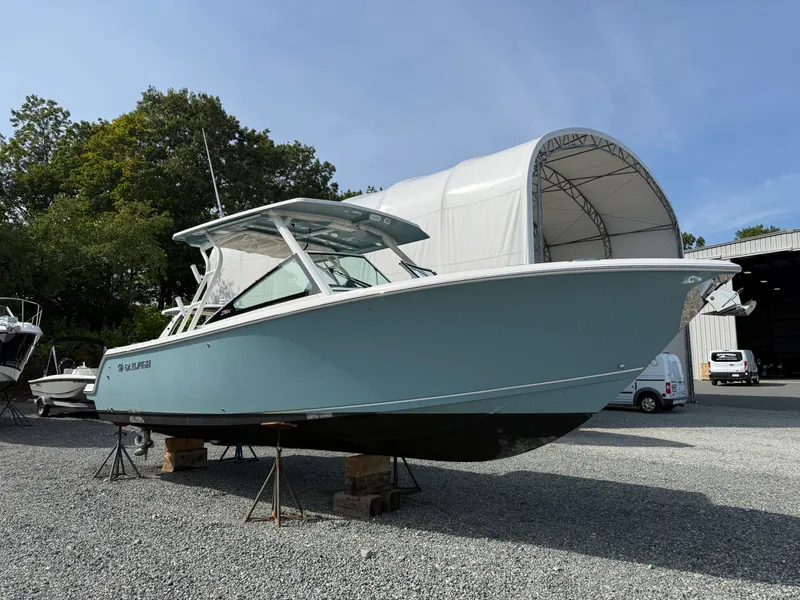 Slide: The Image of Sail Fish 276 DC 2021 - 0