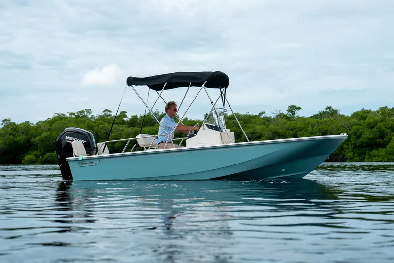 The Image of Boston Whaler 170 Montauk 2026 - 0