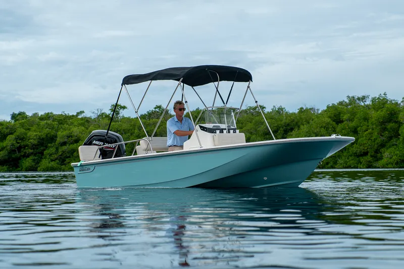 Slide: The Image of Boston Whaler 170 Montauk 2026 - 18