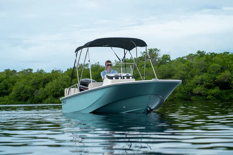 Slide: The Image of Boston Whaler 170 Montauk 2026 - 19