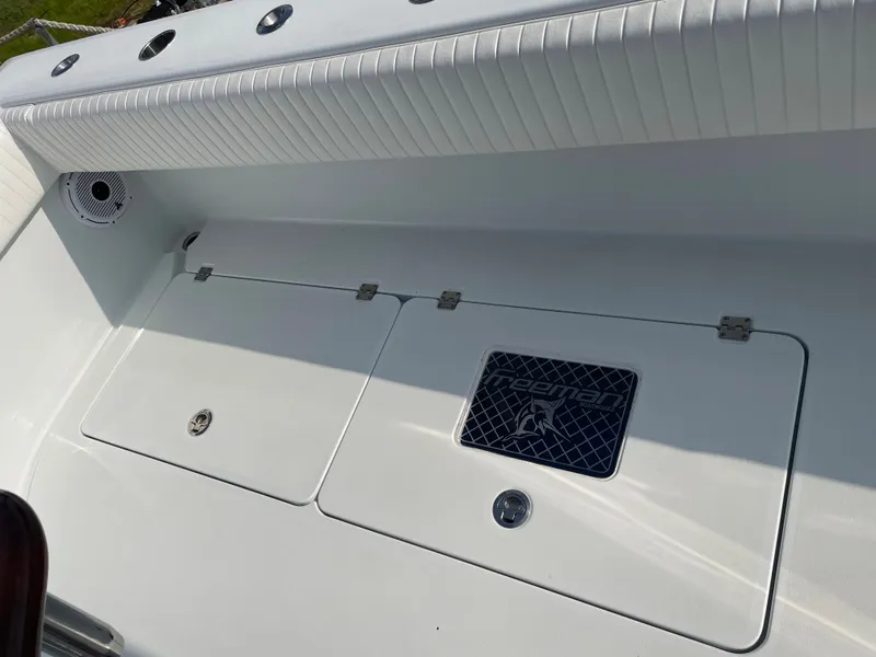 Slide: The Image of Freeman 37 2019 - 51