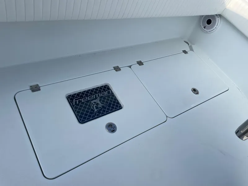 Slide: The Image of Freeman 37 2019 - 53