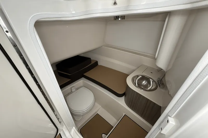 Slide: The Image of Sea Ray SDX 250 2026 - 17