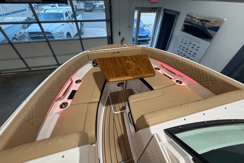 Slide: The Image of Sea Ray SDX 250 2026 - 19