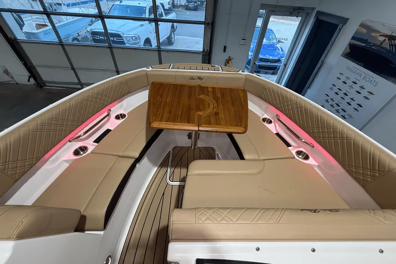 Slide: The Image of Sea Ray SDX 250 2026 - 20