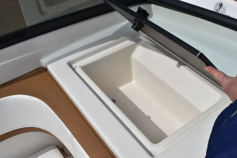 Slide: The Image of Sea Ray SPX 190 OB 2018 - 33