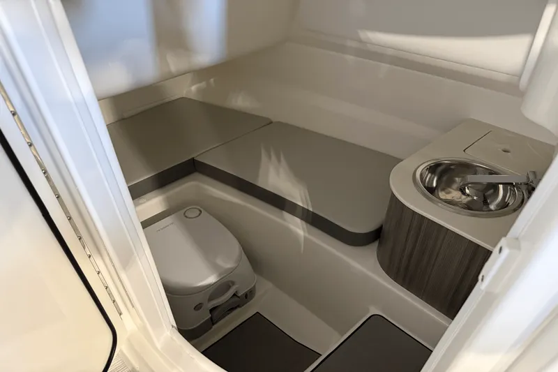 Slide: The Image of Sea Ray SDX 250 Outboard 2026 - 23