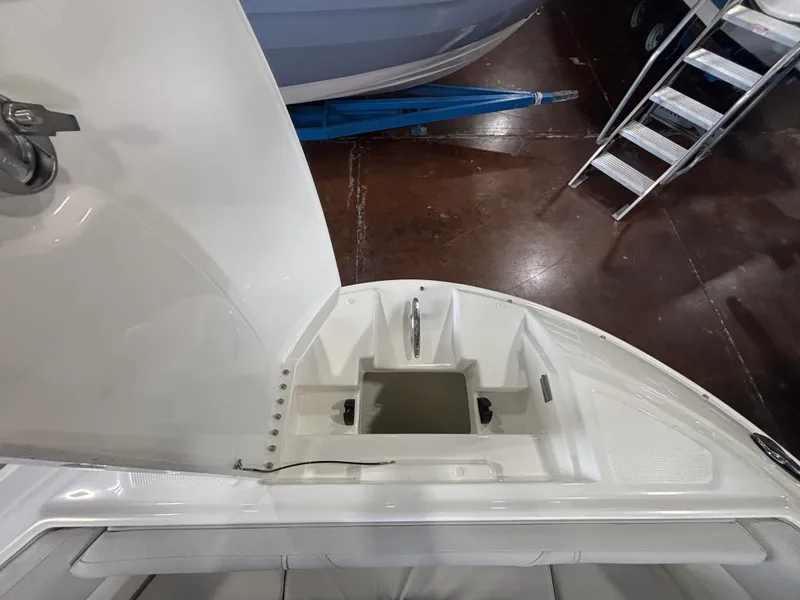 Slide: The Image of Sea Ray SDX 250 Outboard 2026 - 30