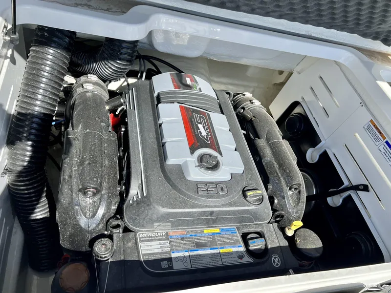 Slide: The Image of 2023 Bayliner DX2050 engine compartment with Mercury 250 HP motor. - 6