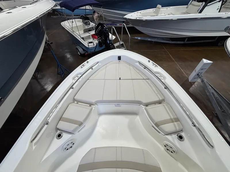 Slide: The Image of Boston Whaler 250 Dauntless 2026 - 16