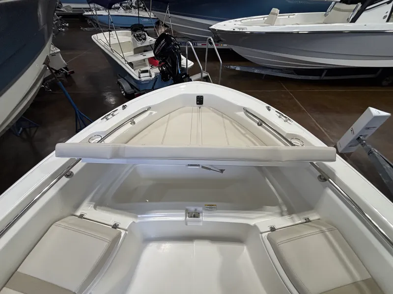 Slide: The Image of Boston Whaler 250 Dauntless 2026 - 17