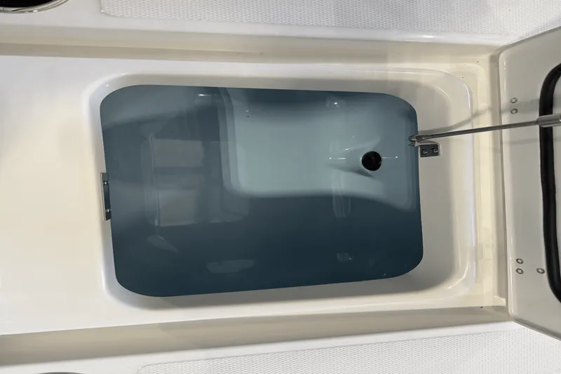 Slide: The Image of Boston Whaler 250 Dauntless 2026 - 7