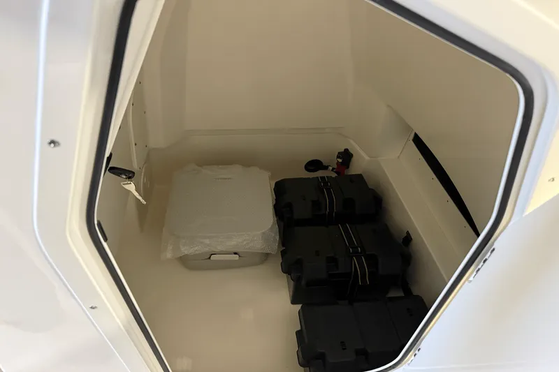 Slide: The Image of Boston Whaler 250 Dauntless 2026 - 9