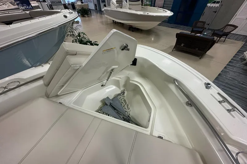 Slide: The Image of Boston Whaler 250 Dauntless 2026 - 18