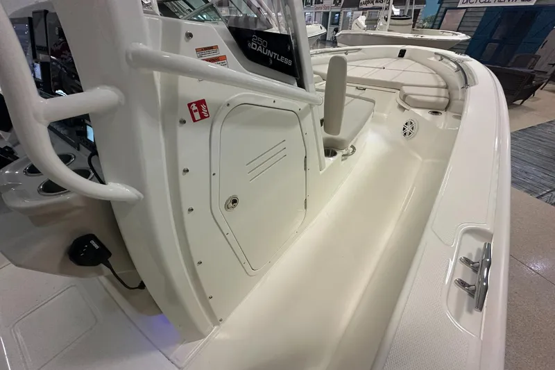 Slide: The Image of Boston Whaler 250 Dauntless 2026 - 19