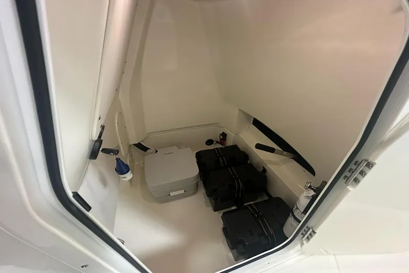 Slide: The Image of Boston Whaler 250 Dauntless 2026 - 20