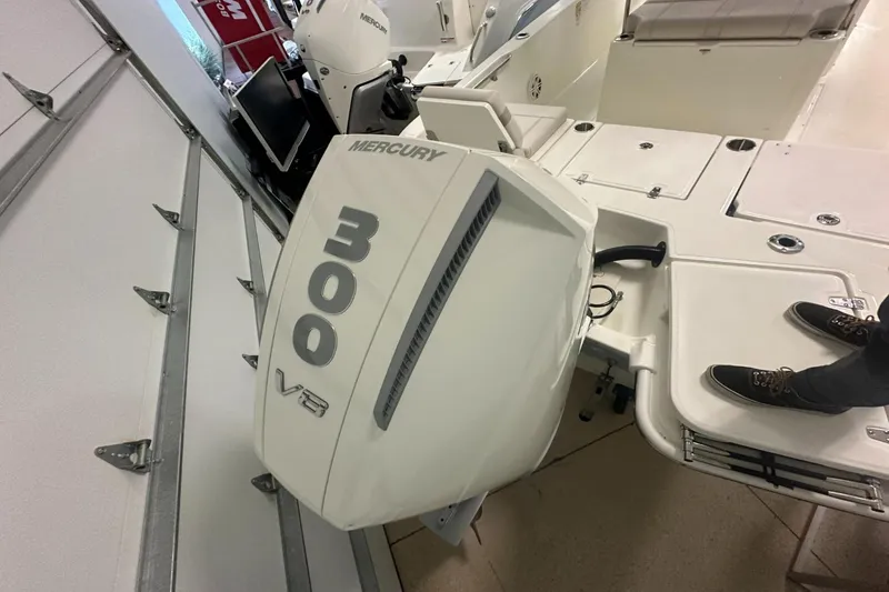 Slide: The Image of Boston Whaler 250 Dauntless 2026 - 3