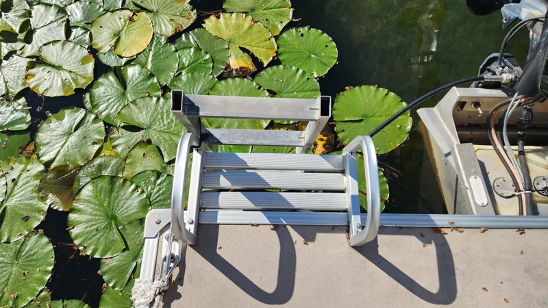 Slide: The Image of Crest 220 WAVE V 2013 - 8